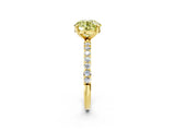 Yellow gold Fancy Yellow Round Cut Diamond Solitaire Ring with Pave Band and Four Prong Setting_24