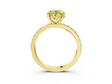 Yellow gold Fancy Yellow Round  Cut Diamond Solitaire with Pave Band and Four-Prong Setting 3