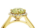 Yellow gold Fancy Yellow Round Cut Halo Round Diamond Solitaire Engagement Ring with Pave Band and Four-Prong Setting_16