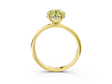 Yellow gold Fancy Yellow Round  Cut Solitaire Engagement Ring with Four-Prong Setting and Classic Band_3