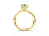 Yellow gold Fancy Yellow Round  Cut Solitaire Ring with Thin Band and Four-Prong Setting_3