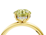Yellow gold Fancy Yellow Round  Cut Solitaire Ring with Thin Band and Four-Prong Setting_4