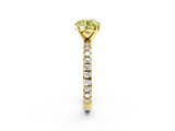 Yellow gold Fancy Yellow Round  Diamond Pavé Band Solitaire with Four-Prong Setting_2