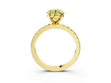 Yellow gold Fancy Yellow Round  Diamond Pavé Band Solitaire with Four-Prong Setting_3