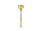 Yellow gold Fancy Yellow Round  Diamond Pavé Band with Six-Prong Setting_33