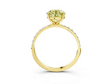 Yellow gold Fancy Yellow Round  Diamond Pavé Band with Six-Prong Setting_34