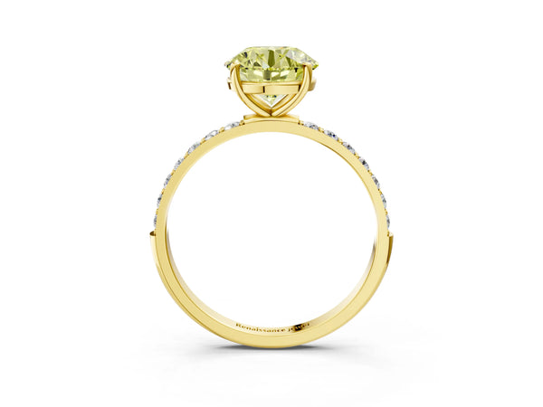 Yellow gold Fancy Yellow Round  Diamond Pavé Band with Six-Prong Setting