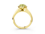 Yellow gold Fancy Yellow Round  Halo Diamond Ring with Cathedral Band and Four-Prong Setting_33