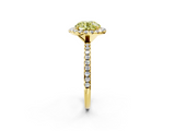 Yellow gold Fancy Yellow Round  Halo Round Diamond Pavé Band Four-Prong Ring_5