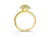 Yellow gold Fancy Yellow Round  Halo Round Diamond Pavé Band Four-Prong Ring_6