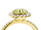 Yellow gold Fancy Yellow Round  Halo Round Diamond Pavé Band Four-Prong Ring_7