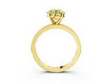 Yellow gold Fancy Yellow Round  Milgrain Pave Diamond Engagement Ring with Four-Prong Setting_3