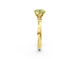 Yellow gold Fancy Yellow Round  Solitaire Beaded Band with Four-Prong Setting_2