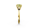 Yellow gold Fancy Yellow Round  Solitaire Diamond Ring with 4-Prong Setting on a Classic Band_5