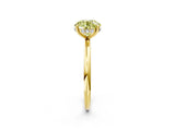 Yellow gold Fancy Yellow Round  Solitaire Diamond Ring with a Classic Band and Four-Prong Setting 3