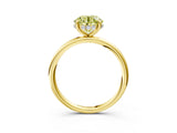 Yellow gold Fancy Yellow Round  Solitaire Diamond Ring with a Classic Band and Four-Prong Setting 4