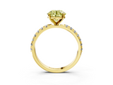 Yellow gold Fancy Yellow Round  Solitaire Pavé Band with Four-Prong Setting_3