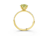 Yellow gold Fancy Yellow Round  Solitaire Pavé Diamond Engagement Ring with Four-Prong Setting_3