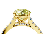 Yellow gold Fancy Yellow Round  Solitaire Pave Diamond Engagement Ring with Prong Setting_4