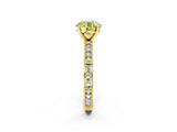 Yellow gold Fancy Yellow Round  Solitaire with Pavé Band and Four-Prong Setting_31
