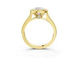Yellow gold Halo Cushion-Cut Diamond Pave Band Milgrain Prong Setting Ring_58
