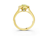 Yellow gold Halo Fancy Yellow Cushion -Cut Diamond Pave Band Milgrain Prong Setting Ring_58
