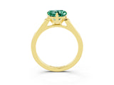 Yellow gold Heart Cut Cut Channel Set Solitaire Engagement Ring with Four-Prong Setting_3