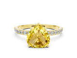 Yellow gold Heart Cut Diamond Pavé Band with Six-Prong Setting