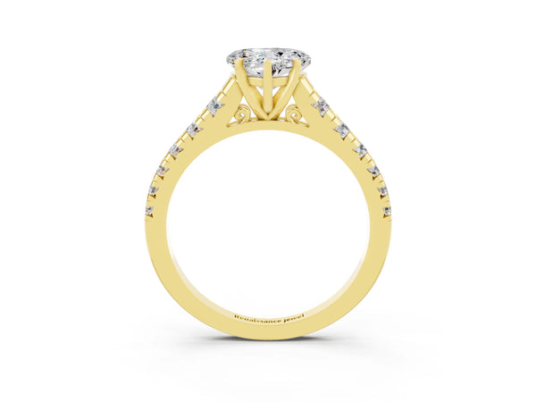 Yellow gold Heart Cut Moissanite Cathedral Solitaire Ring with Round  Pavé Band