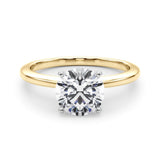 14K Yellow Gold 1.01 Carat D VVS1 Round Solitaire Engagement Ring with Classic Band and Four-Prong Setting