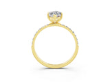 Yellow gold Marquise Cut Diamond Pavé Band with Six-Prong Setting_3