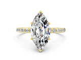 Yellow gold Marquise Cut Diamond Pavé Band with Six-Prong Setting