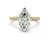 Yellow gold Marquise Cut Diamond Solitaire Ring with Pavé Band and Four-Prong Setting