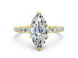 Yellow gold Marquise Cut Moissanite Solitaire Pavé Band with Four-Prong Setting