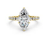 Yellow gold Marquise Solitaire Pavé Band with Four-Prong Setting_146