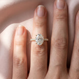 Yellow gold Oval Cut Diamond Brilliant Solitaire Ring with Pavé Band and Four-Prong Setting
