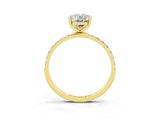 Yellow gold Oval Cut Diamond Pavé Band with Six-Prong Setting_3