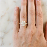 Yellow gold Oval Cut Diamond Solitaire Ring with Micro Pave Band and Four Prong Setting_28
