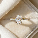Yellow gold Oval Cut Diamond Solitaire Ring with Micro Pave Band and Four Prong Setting_31