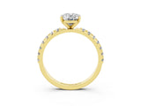 Yellow gold Oval Cut Moissanite Solitaire Pavé Band with Four-Prong Setting_3
