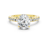 Yellow gold Oval Cut Moissanite Solitaire Ring with Round  Pavé Band and Four-Prong Setting_36