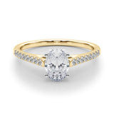 18K Yellow Gold 4.00 Carat D VVS2 Oval Cut Solitaire Diamond Ring with Pave Band and Four-Prong Setting