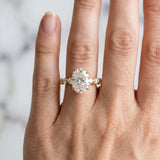 Yellow gold Oval Cut Solitaire Diamond Ring with Pave Band and Four-Prong Setting_318
