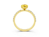 Yellow gold Oval Cut Yellow Sapphire Solitaire Pavé Band with Four-Prong Setting_27
