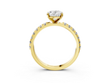 Yellow gold Oval Solitaire Pavé Band with Four-Prong Setting_166