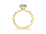 Yellow gold Princess Brilliant Pavé Band Solitaire with Four-Prong Setting_37