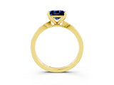 Yellow gold Princess Cut Blue Sapphire Solitaire Engagement Ring with Classic Band and Four-Prong Setting_27