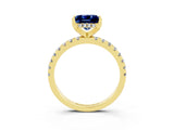 Yellow gold Princess Cut Blue Sapphire Solitaire Ring with Pavé Band and Four-Prong Setting_15