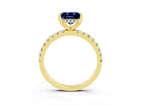 Yellow gold Princess Cut Blue Sapphire Solitaire Ring with Round  Pavé Band and Four-Prong Setting_39