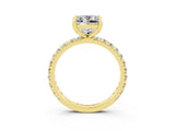 Yellow gold Princess Cut Cut Diamond Pavé Band with Four-Prong Setting_3